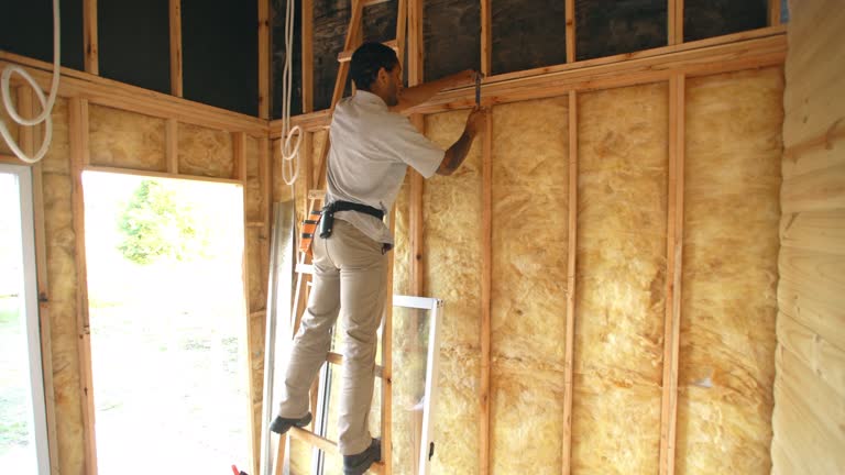 Best Insulation for New Construction  in USA